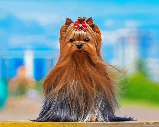 Cute Yorkshire Terrier Painting By Numberss.png