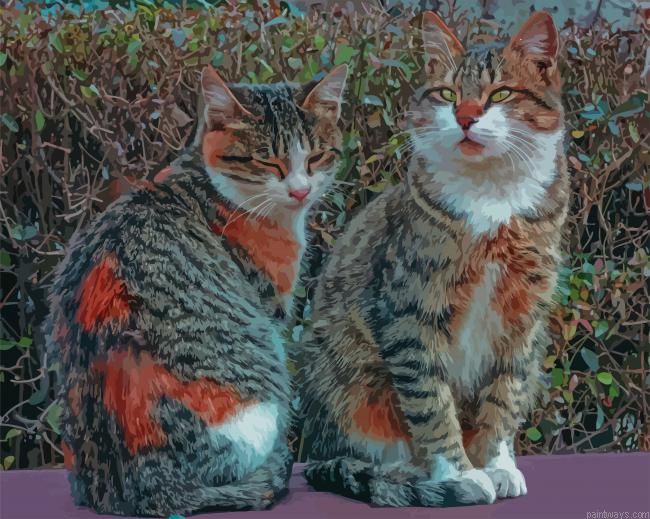 Cute Kittens New Painting By Numberss.png