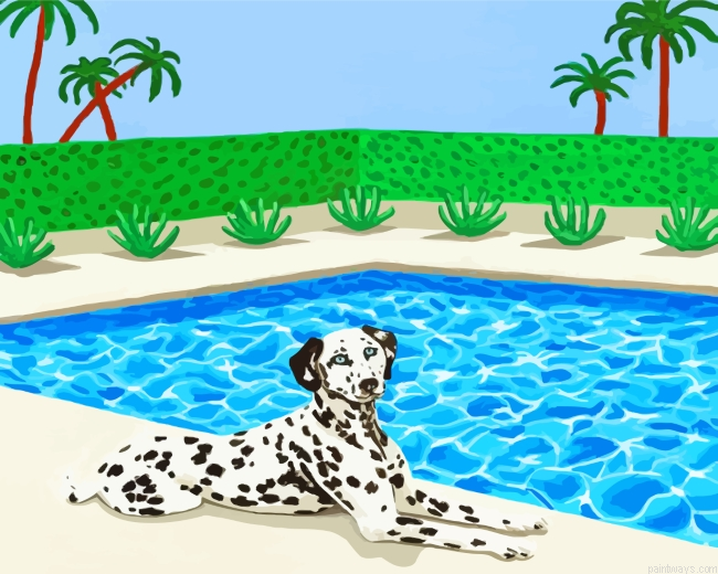 Dalmatian In Pool Painting By Numberss.png