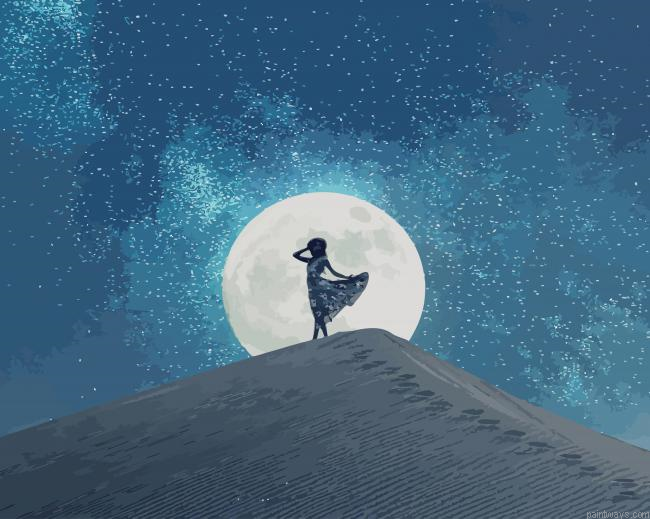 Dancing In Moonlight New Painting By Numberss.png