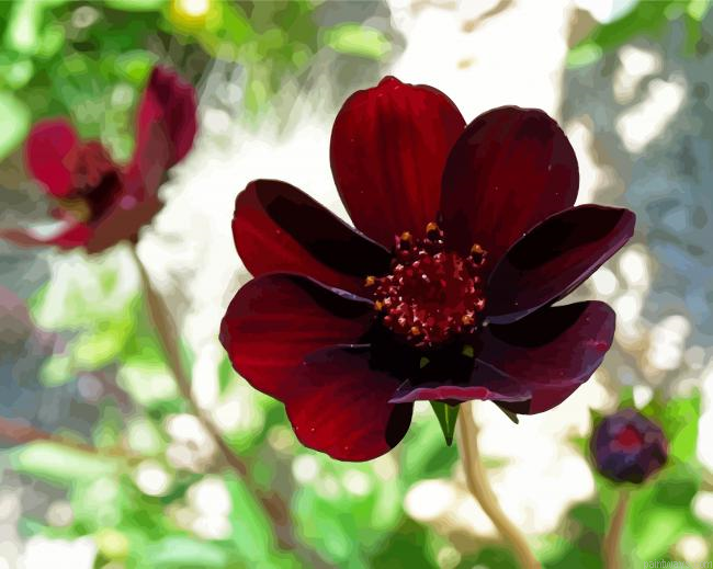 Dark Red Flower Painting By Numberss.png