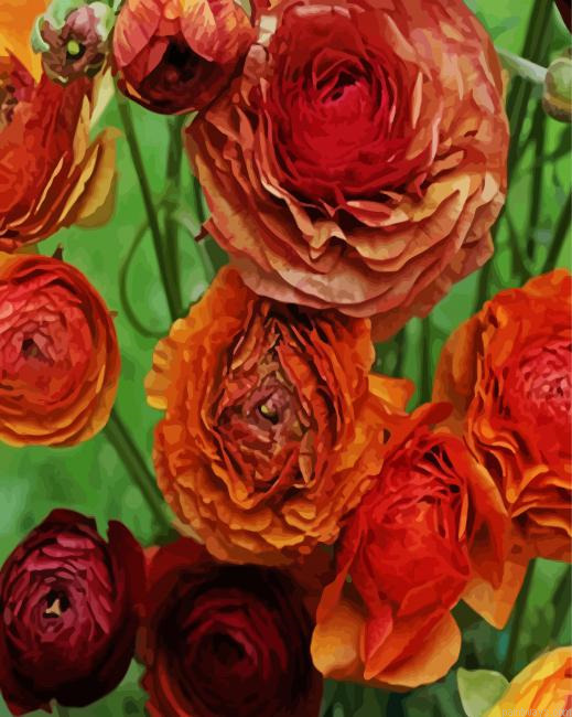Dead Ranunculus Flowers Painting By Numberss.png