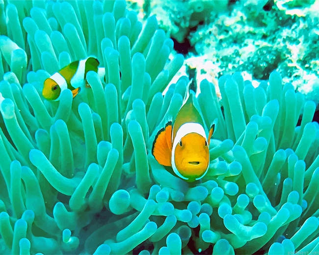 Deep Sea Yellow Fish Painting By Numbers.png