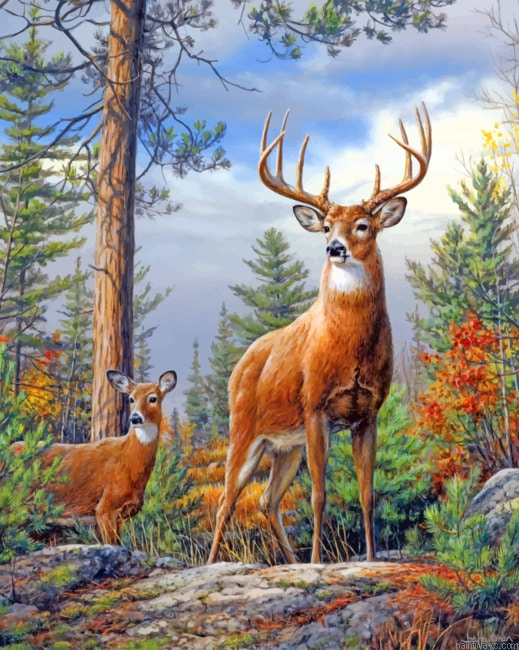 Deer In Forest Animals Painting By Numberss.png