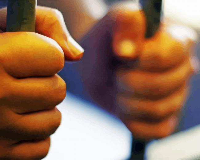 Defendant In Jail Painting By Numberss.png