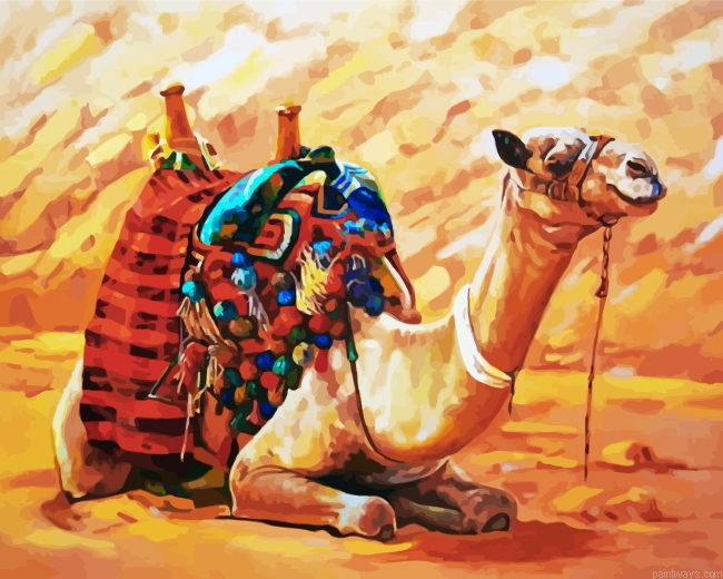 Desert Camel Painting By Numbers.png