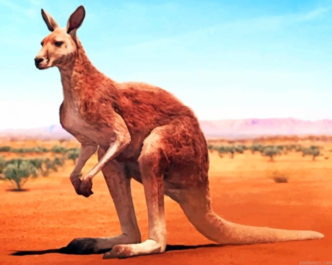 Desert Kangaroo Painting By Numbers.png