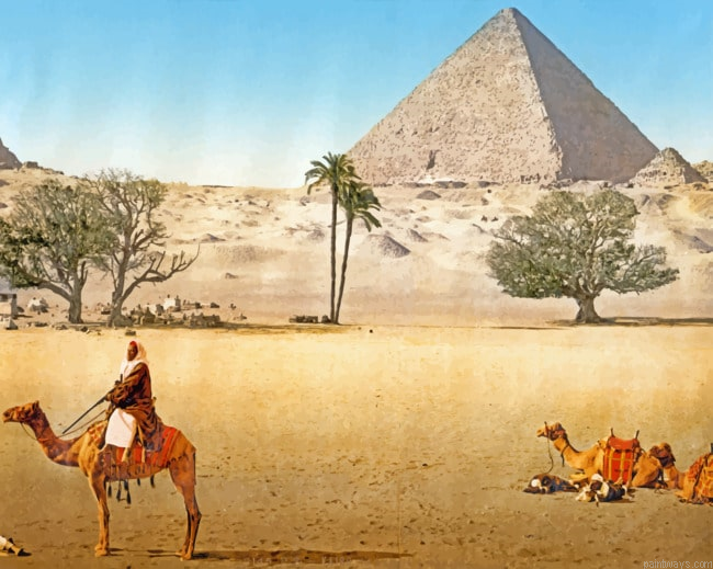 Desertscape Painting By Numberss.png