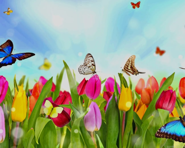 Diverse Butterflies And Roses Insects Painting By Numberss.png