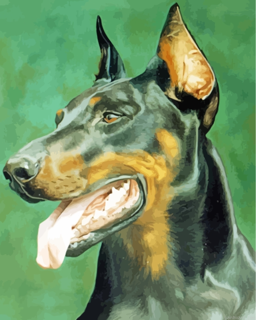 Doberman Dog Head Painting By Numberss.png