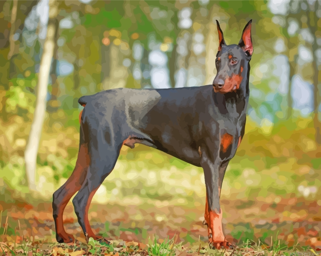 Doberman Dog In Forest Painting By Numberss.png