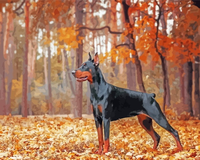 Doberman In Forest Painting By Numberss.png