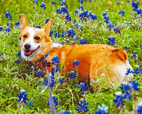Dog And Bluebonnet Painting By Numbers.png