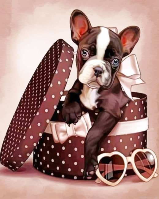 Dog On Gift Box Animals Painting By Numberss.png