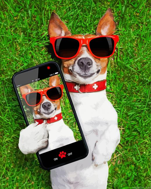 Dog Taking Selfie Painting By Numberss.png