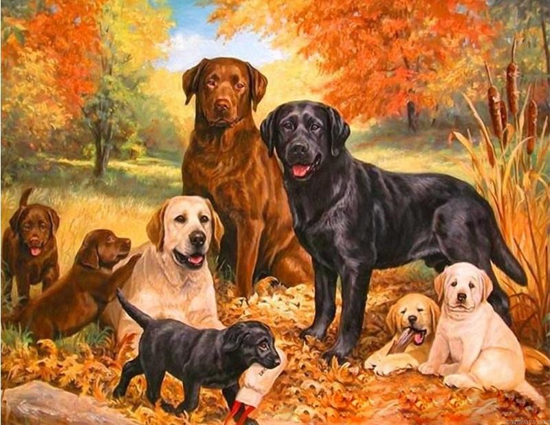 Dogs Family Animals Painting By Numberss.png