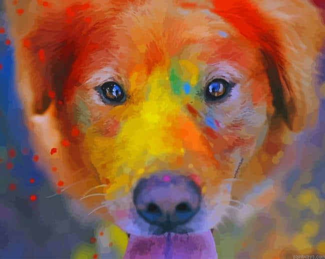 Dogs Painted Face New Painting By Numberss.png