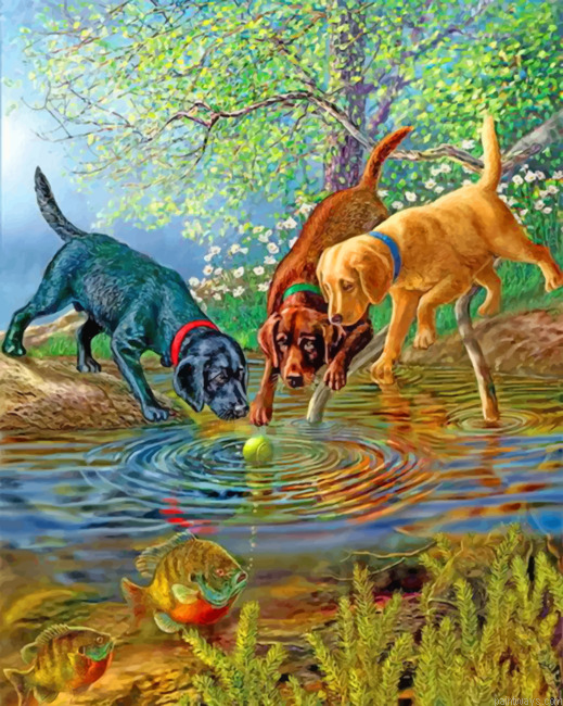 Dogs Playing Painting By Numbers.png