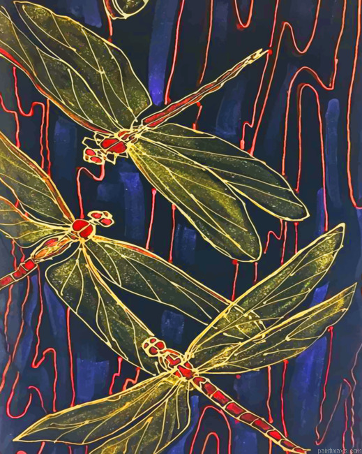 Dragonflies Painting By Numberss.png