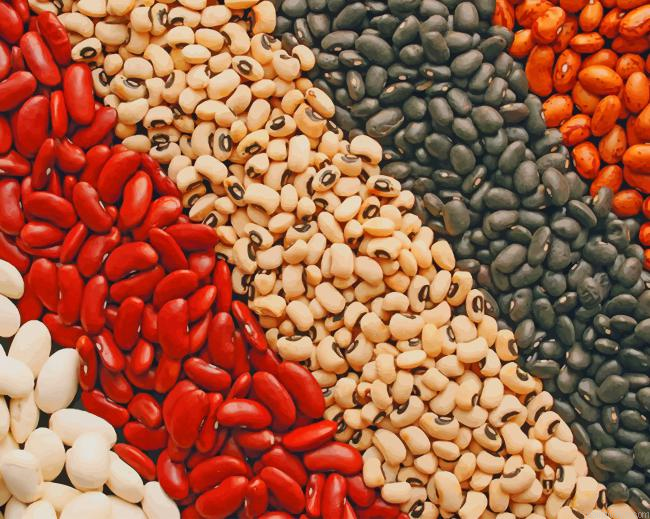 Dry Beans New Painting By Numberss.png