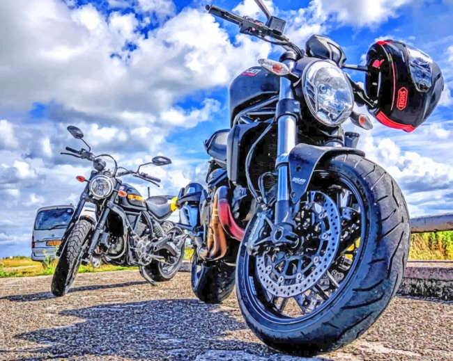Ducati Motorcycle Engines Painting By Numberss.png