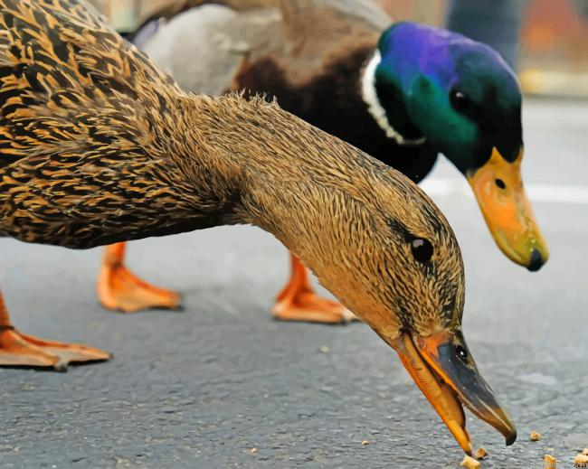 Ducks Eating New Painting By Numberss.png
