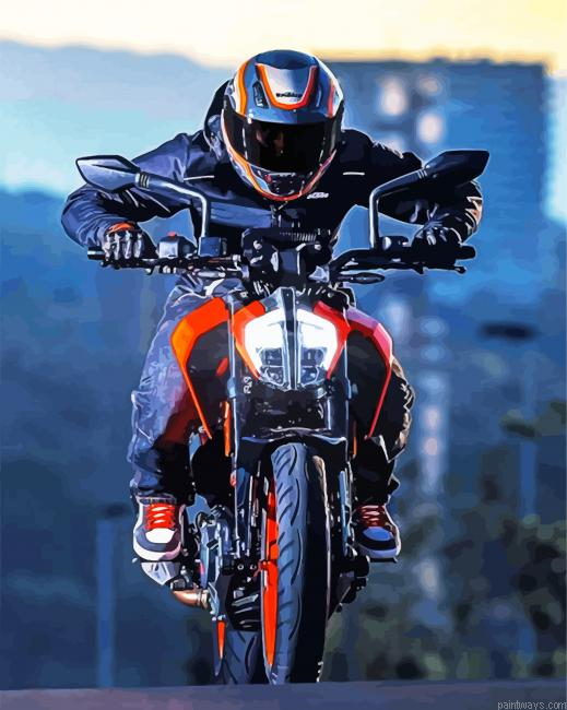 Duke Motorcycle Painting By Numberss.png