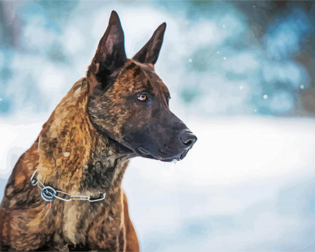 Dutch Shepherd Dog Painting By Numberss.png