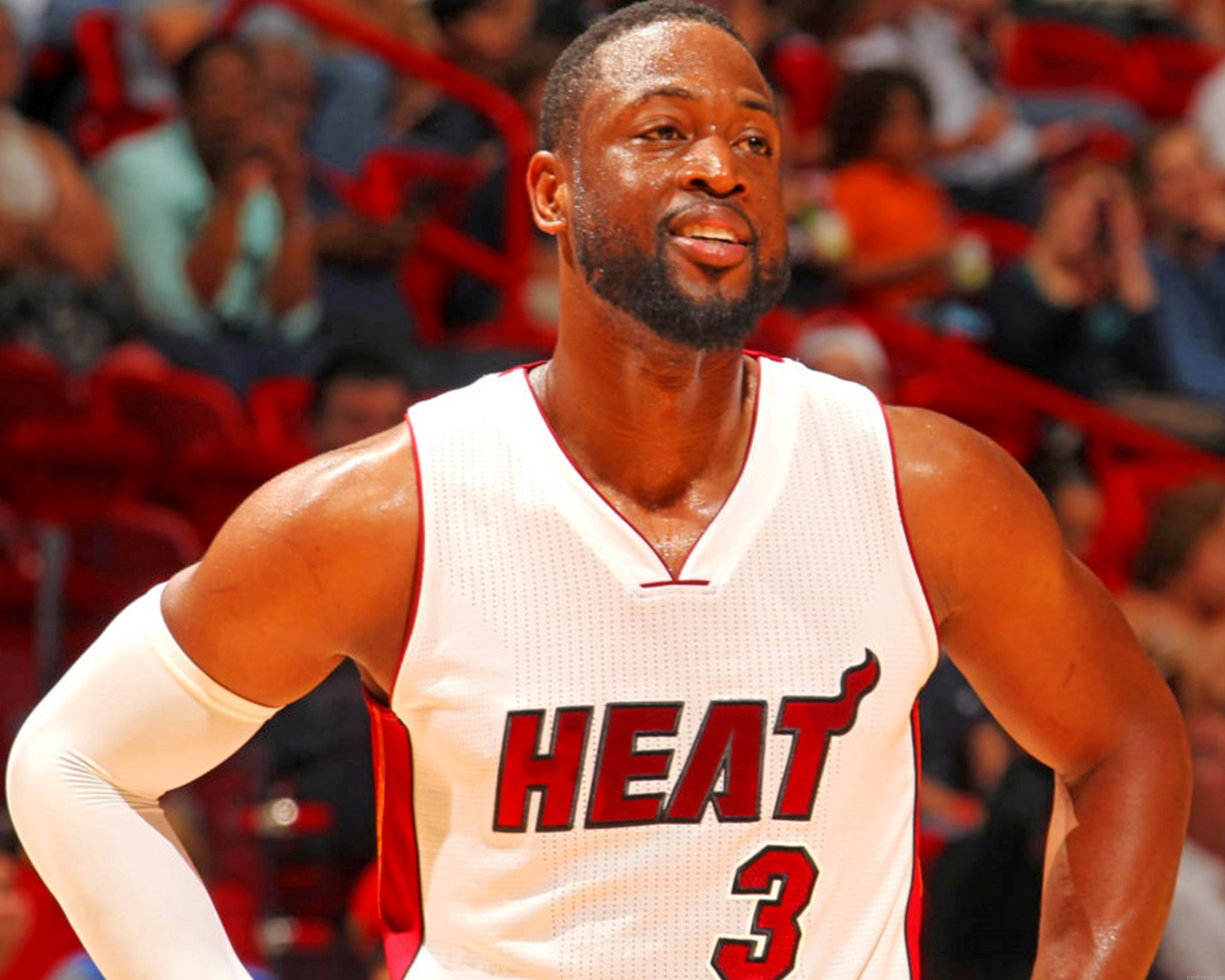 Dwyane Wade Painting By Numbers.png