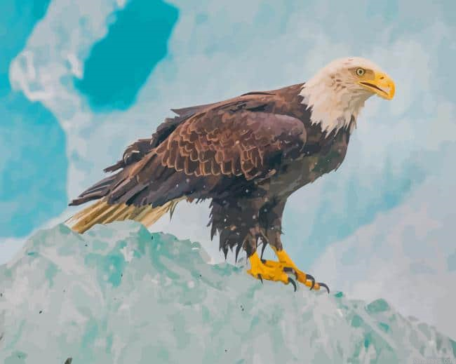 Eagle In Snow New Painting By Numberss.png