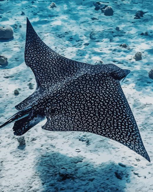 Eagle Rays Fish New Painting By Numberss.png