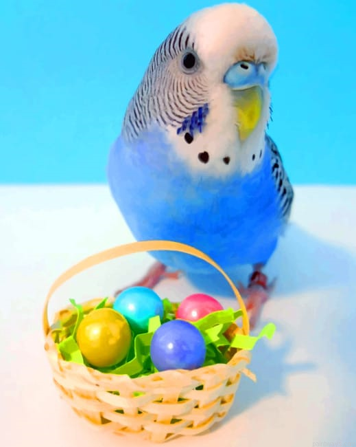 Easter Parrot Birds Painting By Numberss.png