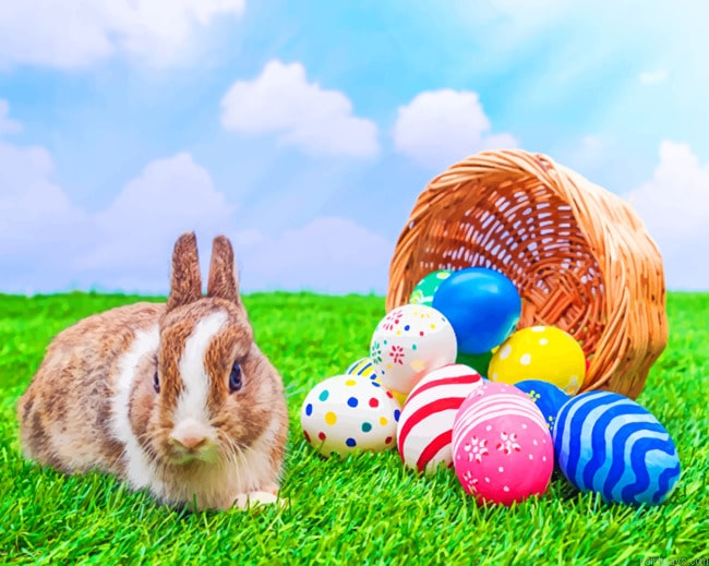 Easter Rabbit On Grassland Animals Painting By Numberss.png