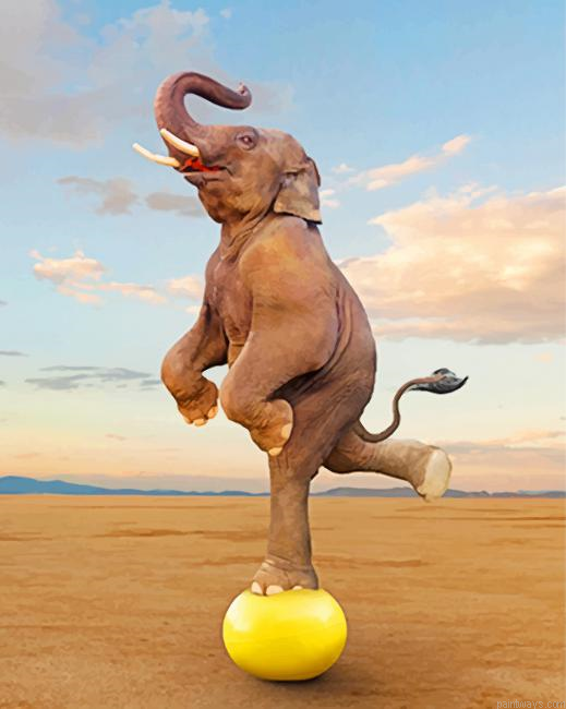 Elephant Balancing Painting By Numbers.png