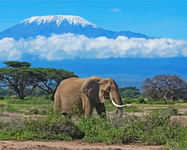 Elephant In Mount Kilimanjaro Painting By Numberss.png