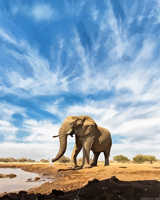 Elephant New Painting By Numberss.png