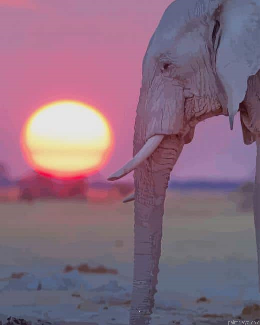 Elephant With Sunset New Painting By Numberss.png