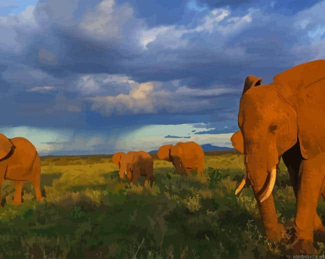 Elephants Walking New Painting By Numberss.png