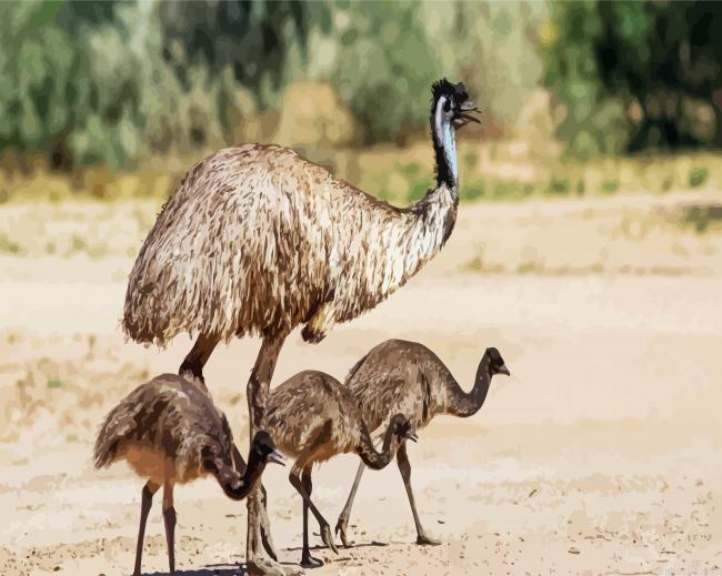Emu With Chicks Painting By Numberss.png