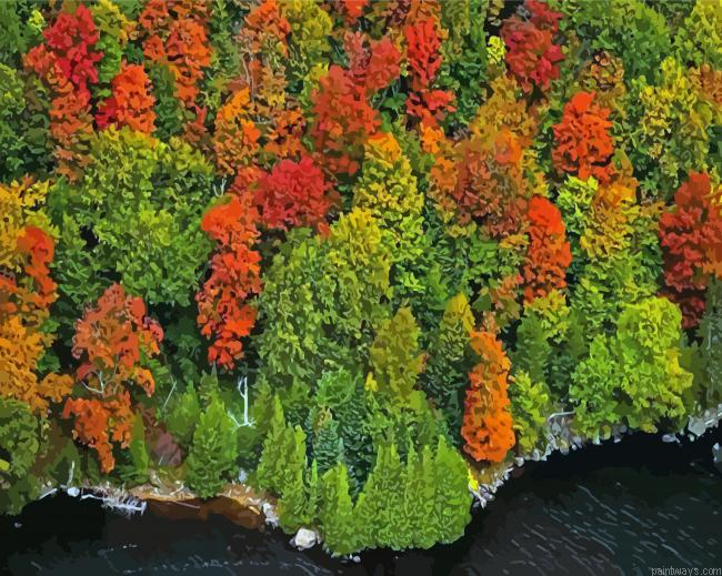 England Fall Foliage Painting By Numberss.png