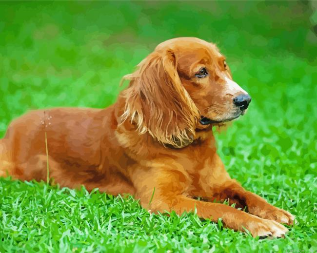 English Cocker Spaniel Dog Painting By Numberss.png