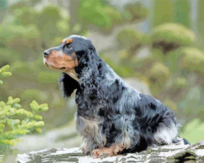 English Cocker Spaniel Painting By Numberss.png