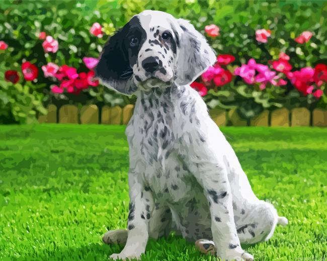 English Setter Dog Painting By Numberss.png
