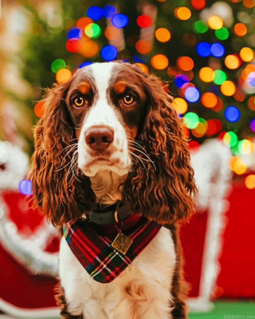 English Springer Spaniel Painting By Numberss.png