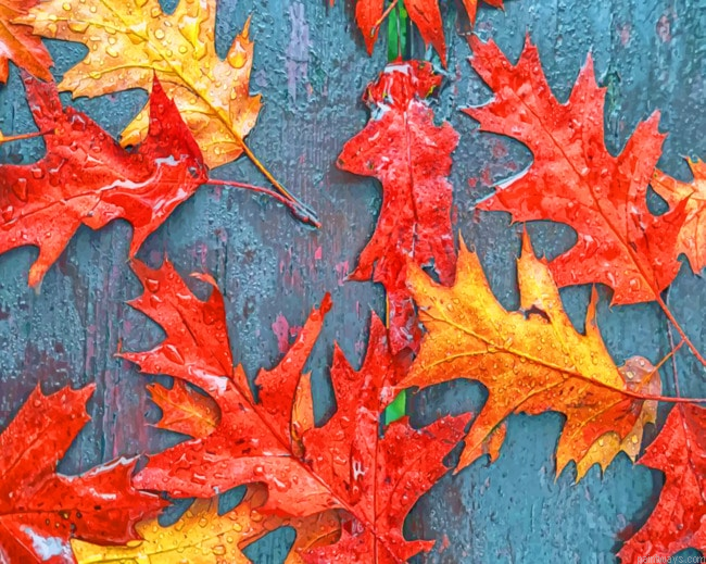 Fall Leaves Autumn Painting By Numberss.png