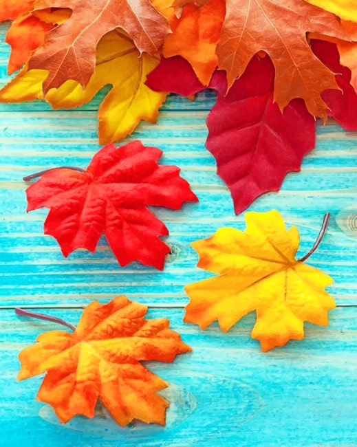 Fall Leaves Plants Painting By Numberss.png