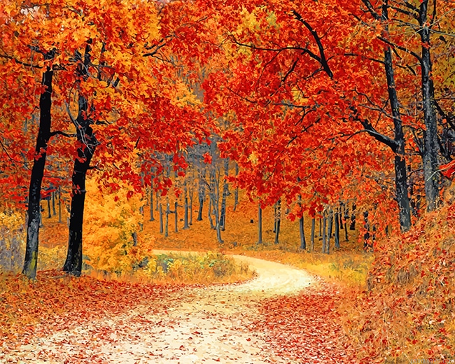 Fall Red Forest New Painting By Numberss.png
