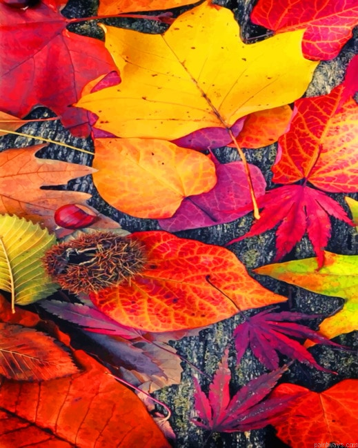 Fall September Leaves Painting By Numberss.png