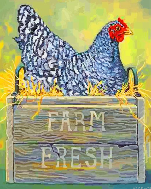 Farm Chicken Hen Painting By Numberss.png