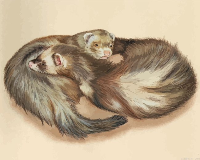 Ferrets Animals Hugging Painting By Numberss.png